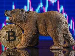 Bitcoin bear