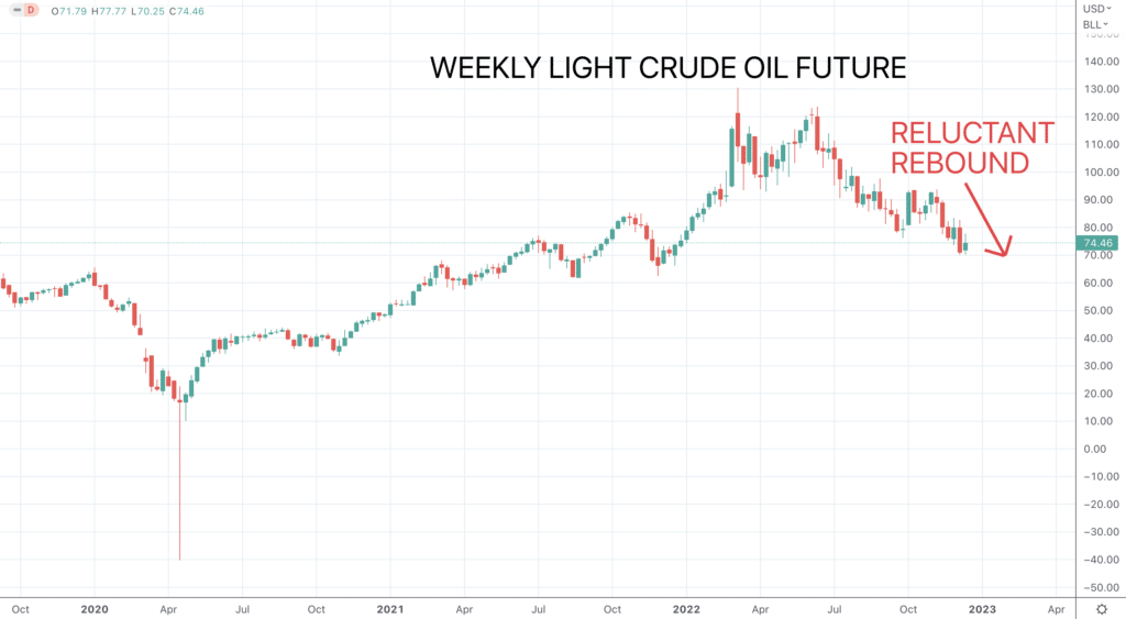 Oil prices rebounded