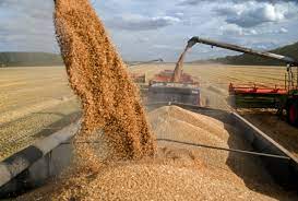 russia ukraine grain deal